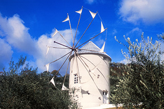 Shodoshima Olive Park