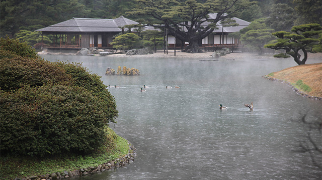 開園日・開園時間