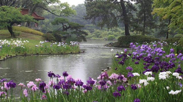 四季主要景點圖庫 夏季