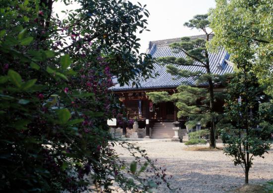 萩原寺（萩）