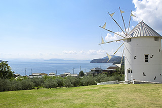 小豆岛橄榄公园