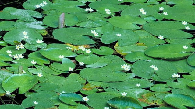 四季主要景点图库　夏季