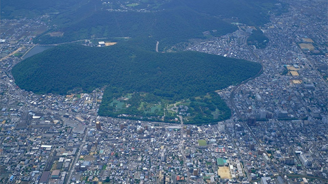 占地面积